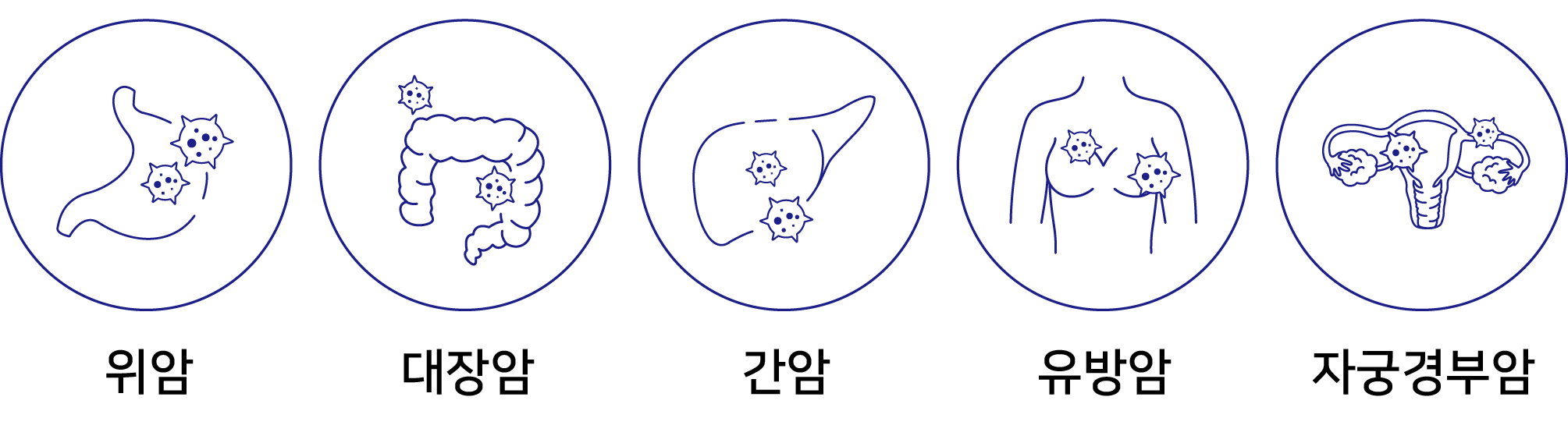 이미지2-11.jpg