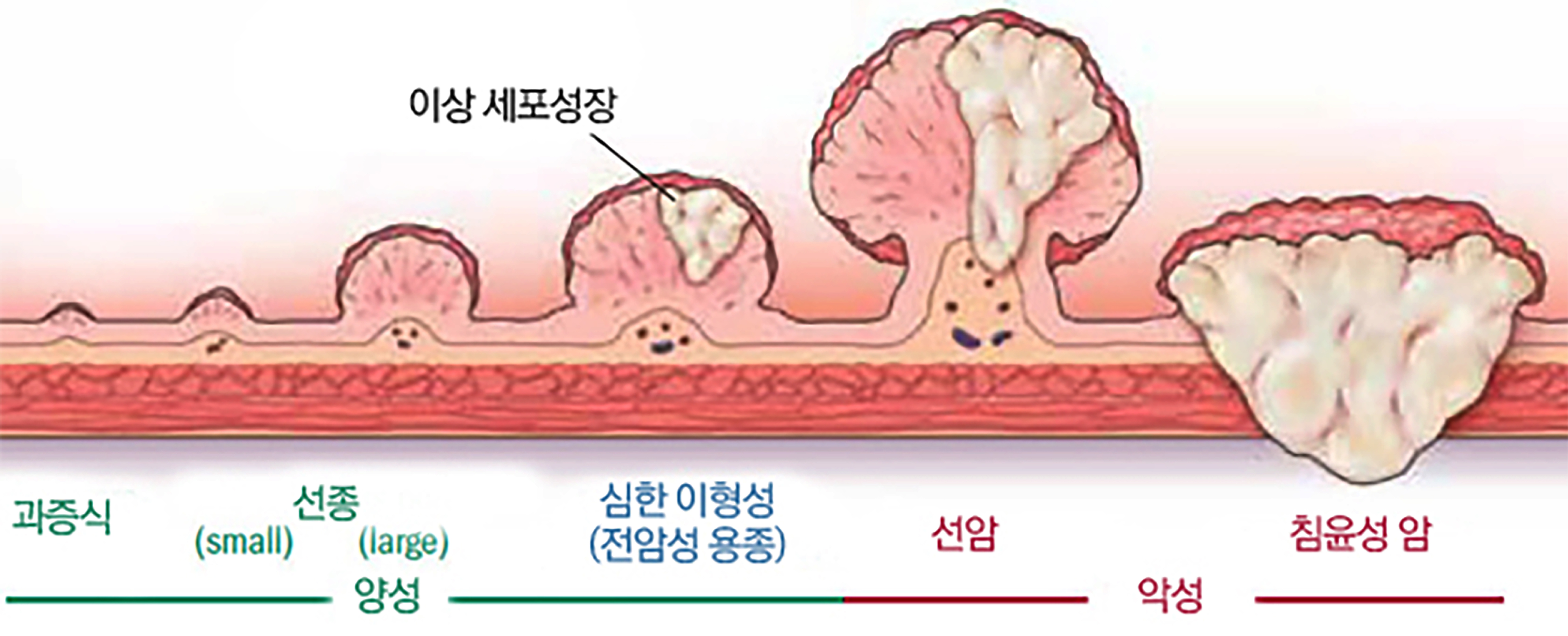 이미지-24.jpg