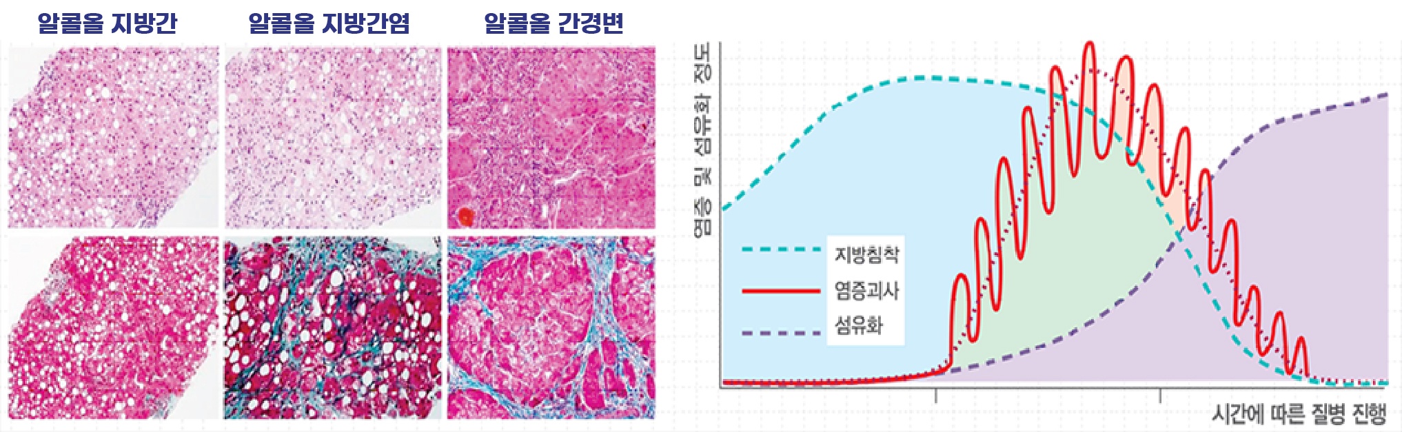 이미지2-26.jpg