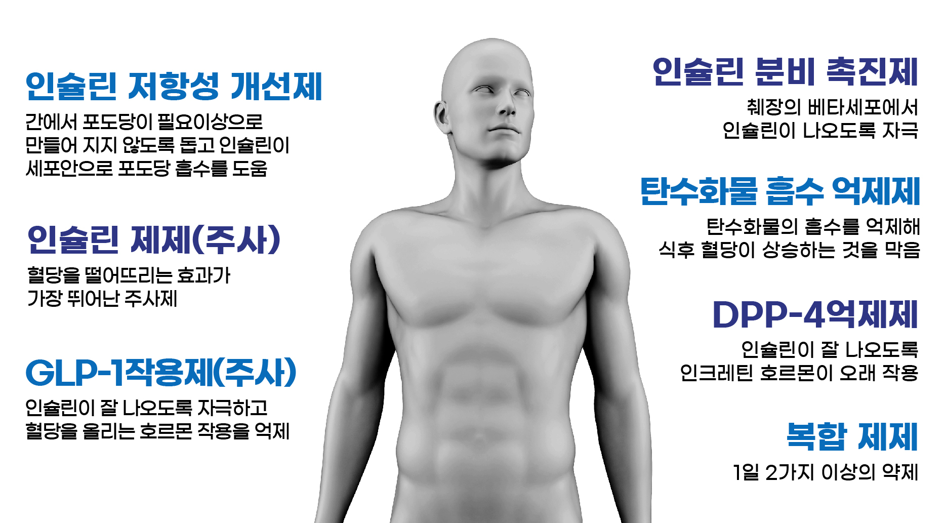 당뇨병 약물 종류